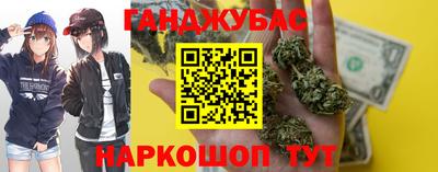 крисы Будённовск