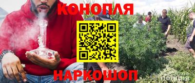 стаф Бугуруслан