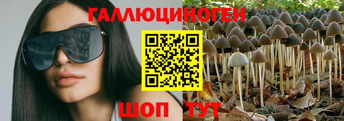Галлюциногенные грибы MAGIC MUSHROOMS Шахты