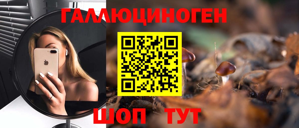 Шахты  Псилоцибиновые грибы мицелий  купить наркотик  Вход с VPN  Галлюциногенные грибы Psilocybine cubensis 